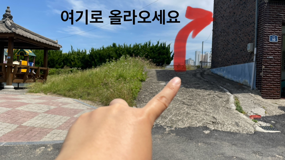 평면도