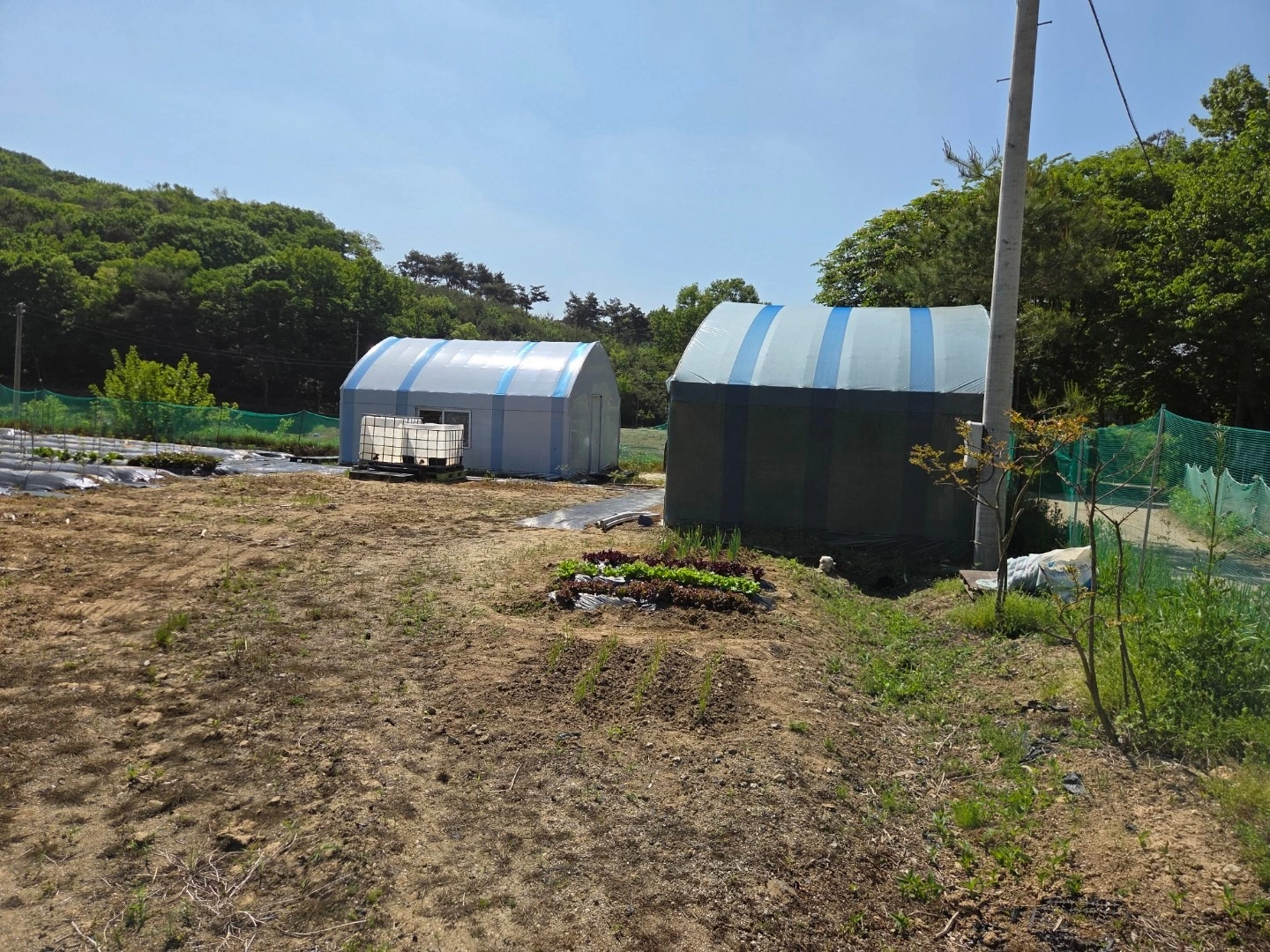 평면도