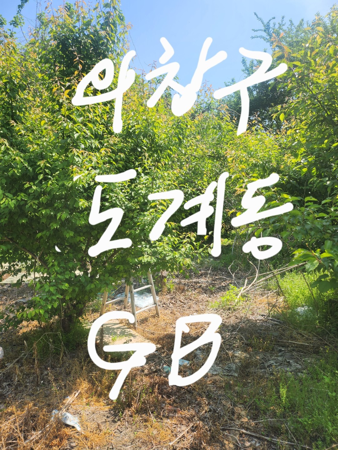 매물 썸네일