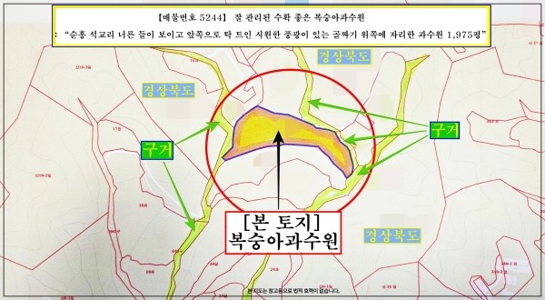 평면도