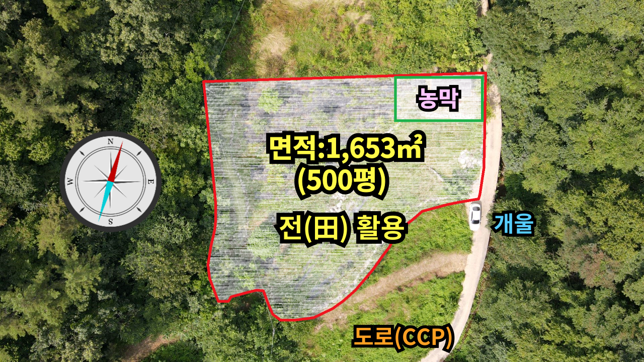 평면도