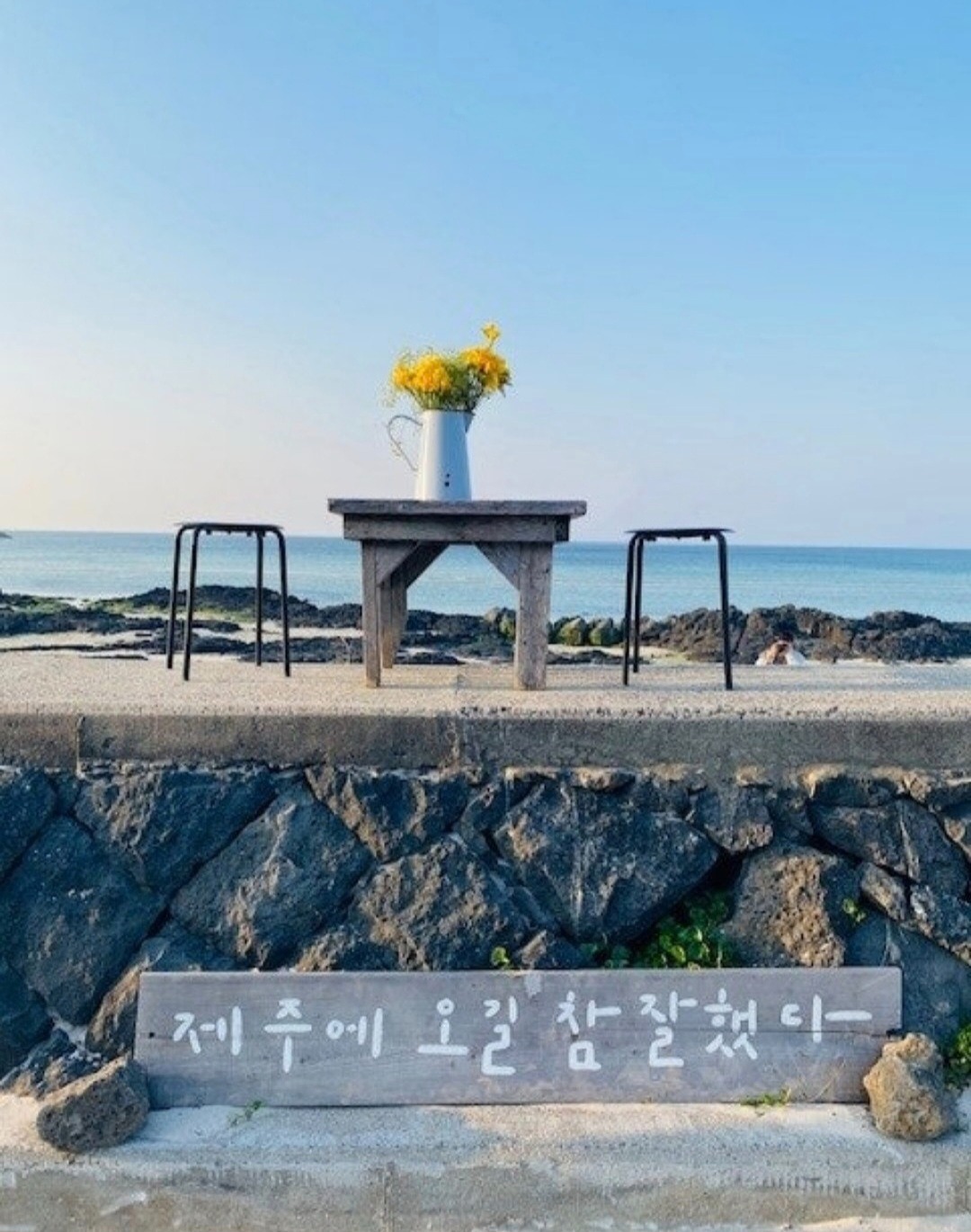 평면도