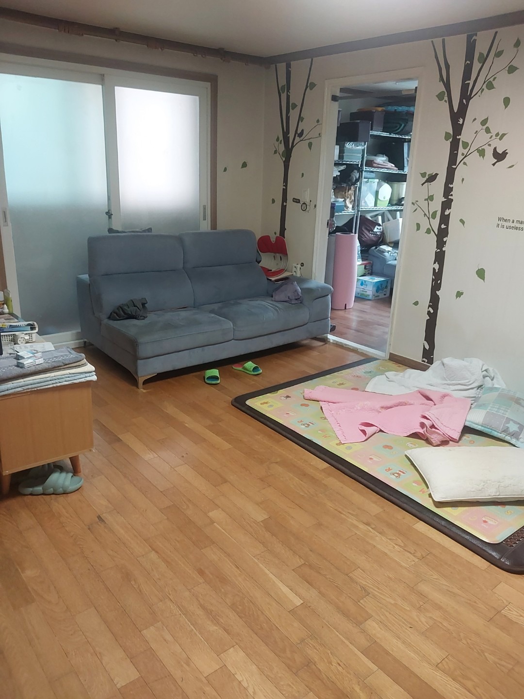 평면도
