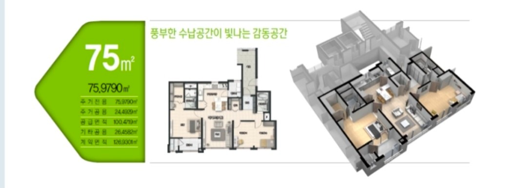 평면도