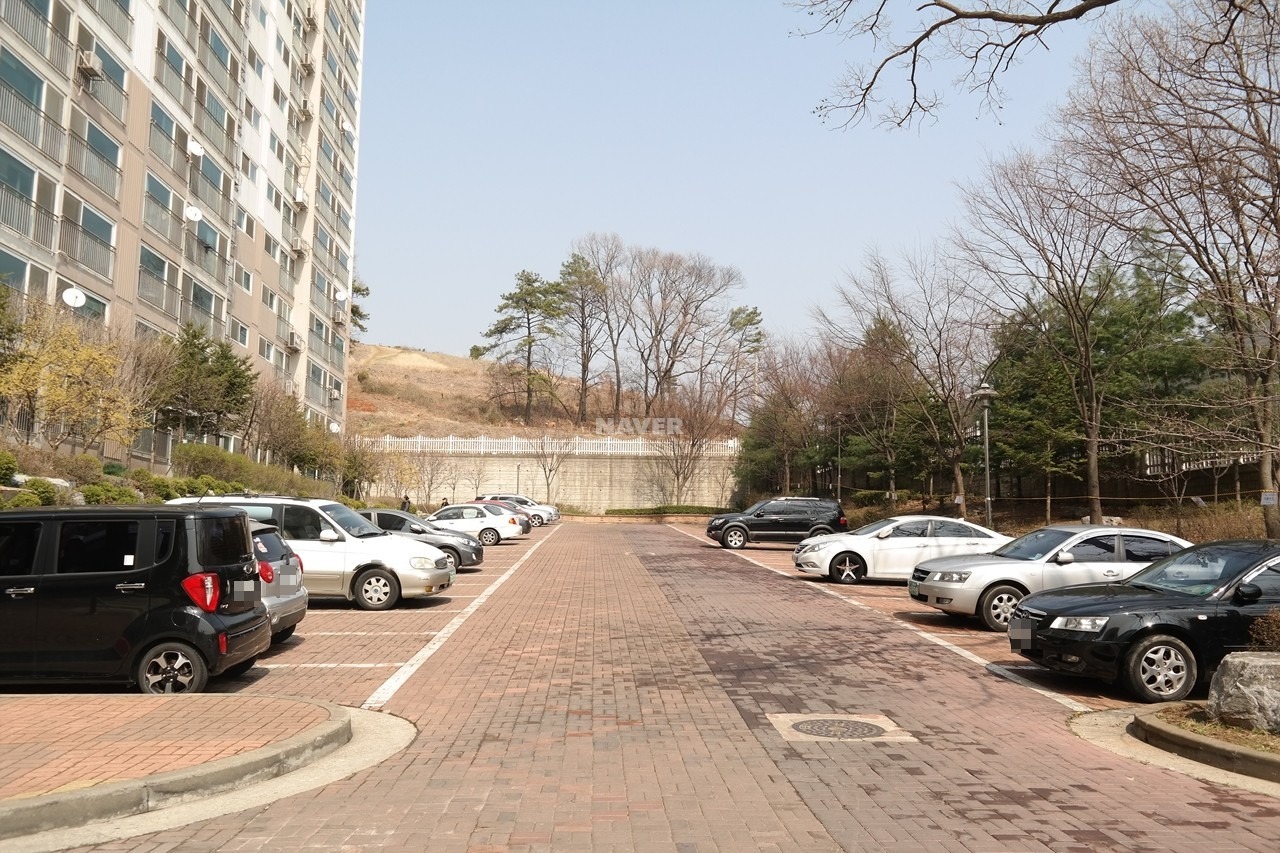 평면도