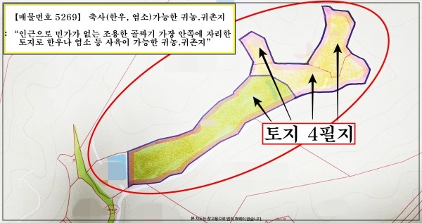 평면도