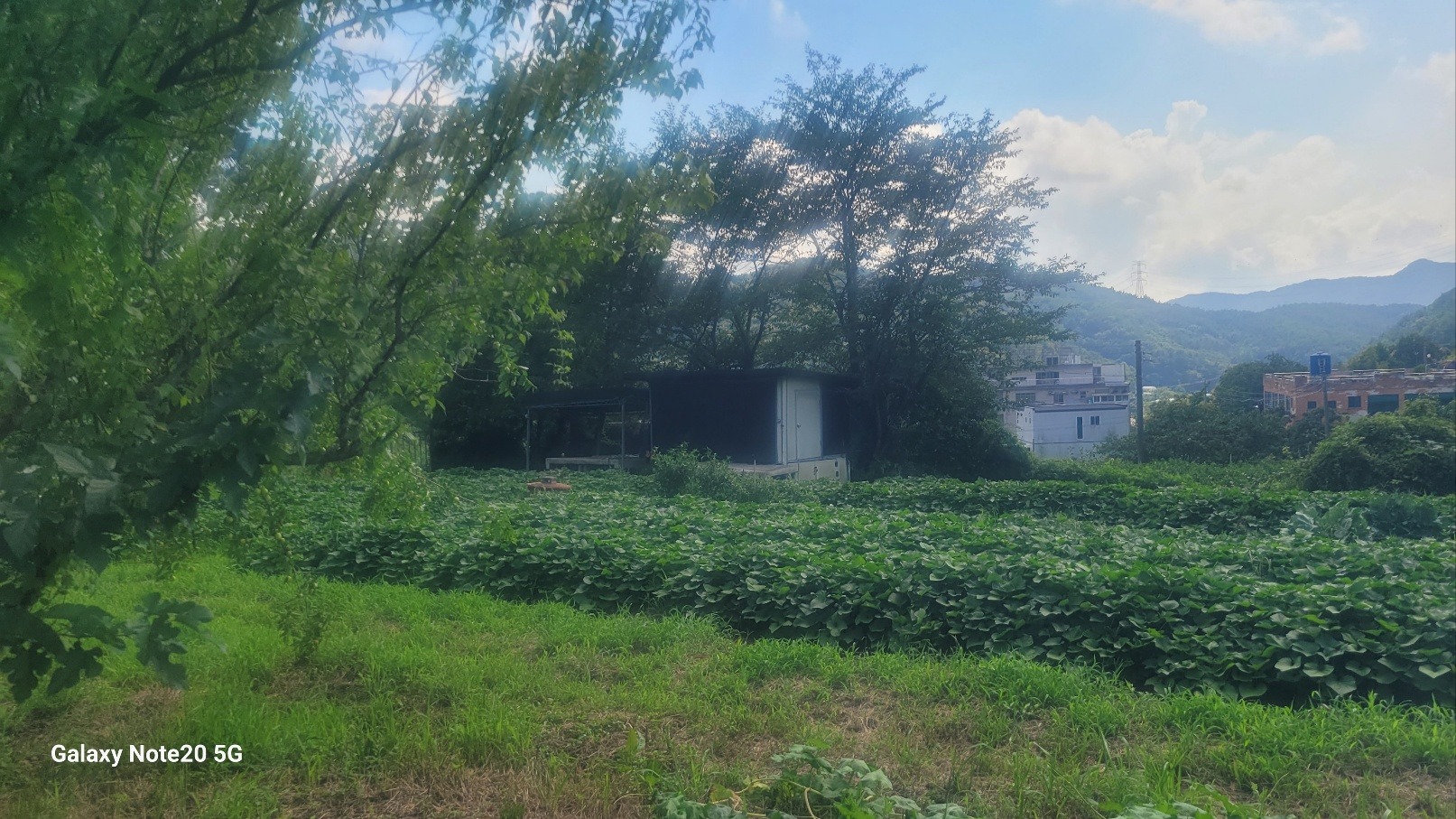 매물 썸네일