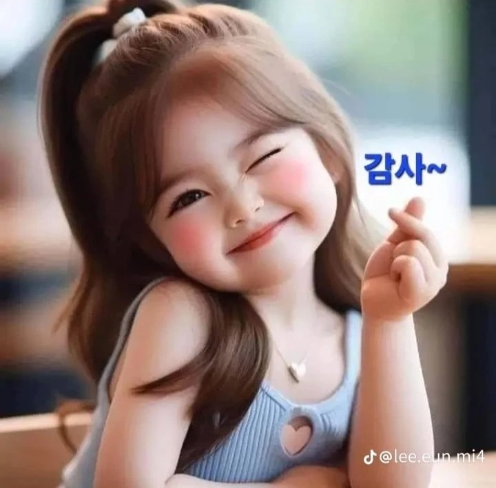 평면도