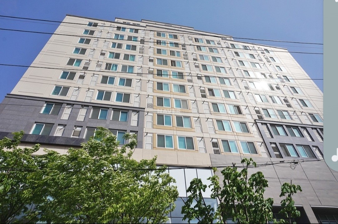 평면도