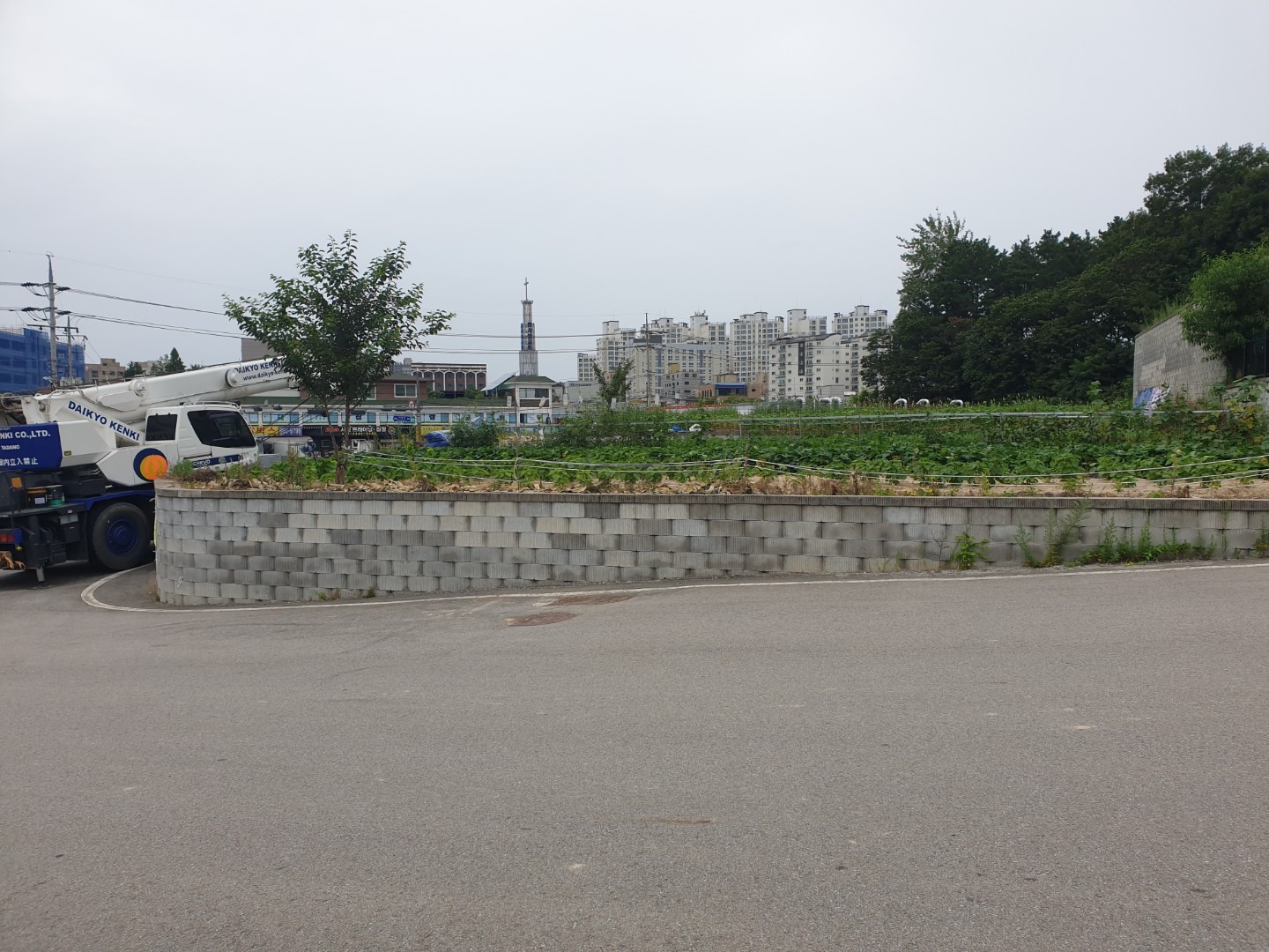 평면도