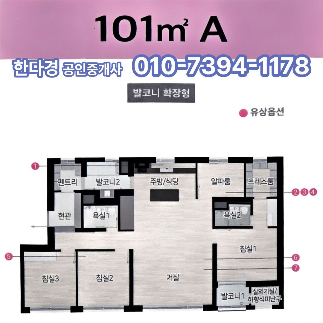 평면도