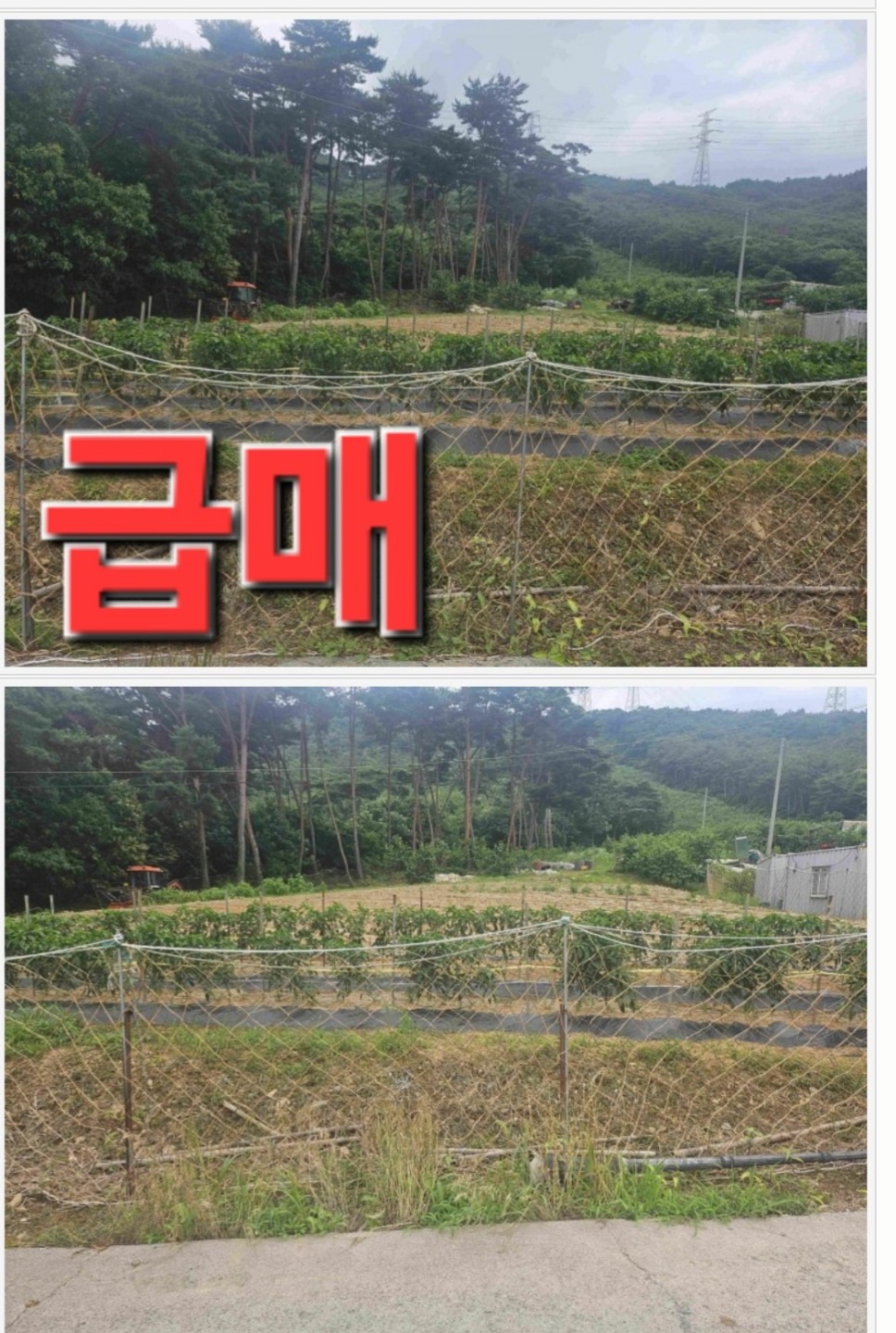 매물 썸네일