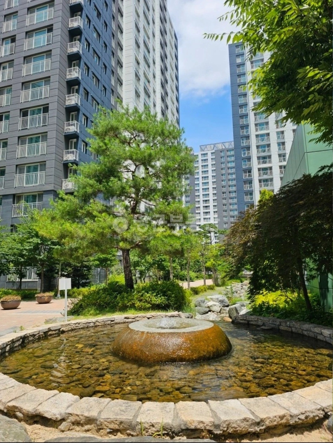 평면도