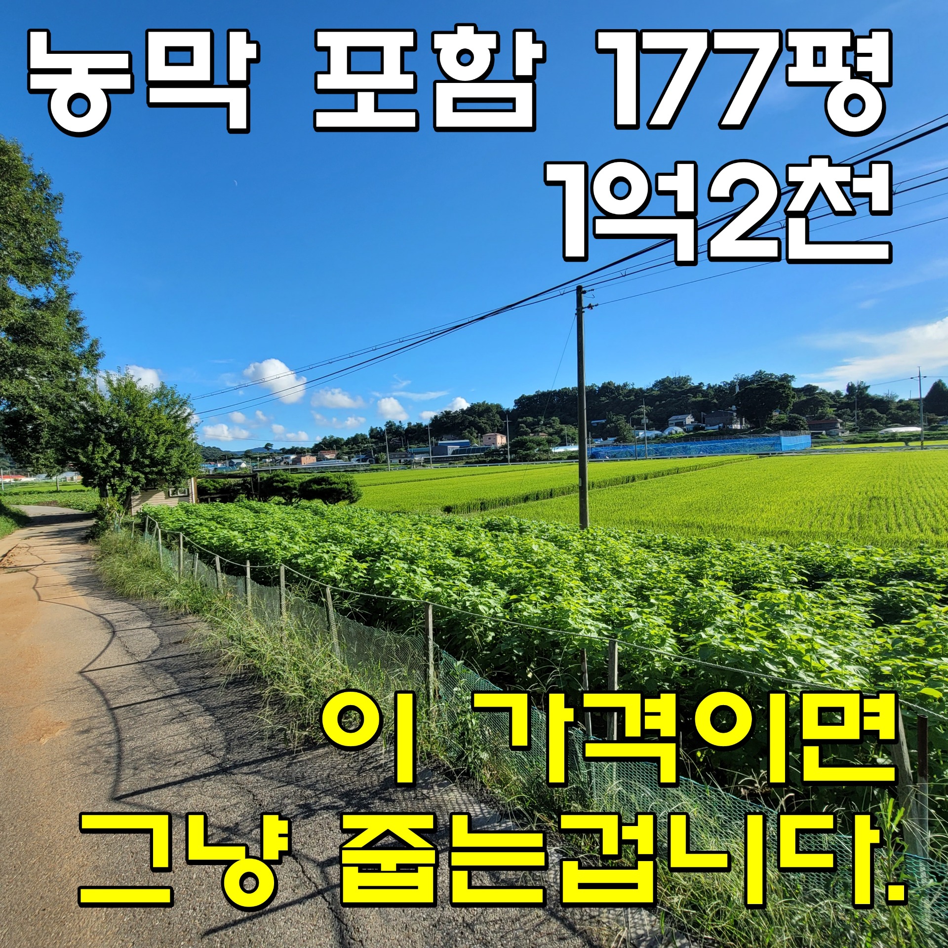 매물 썸네일