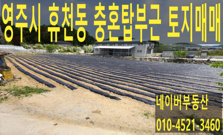 매물 썸네일
