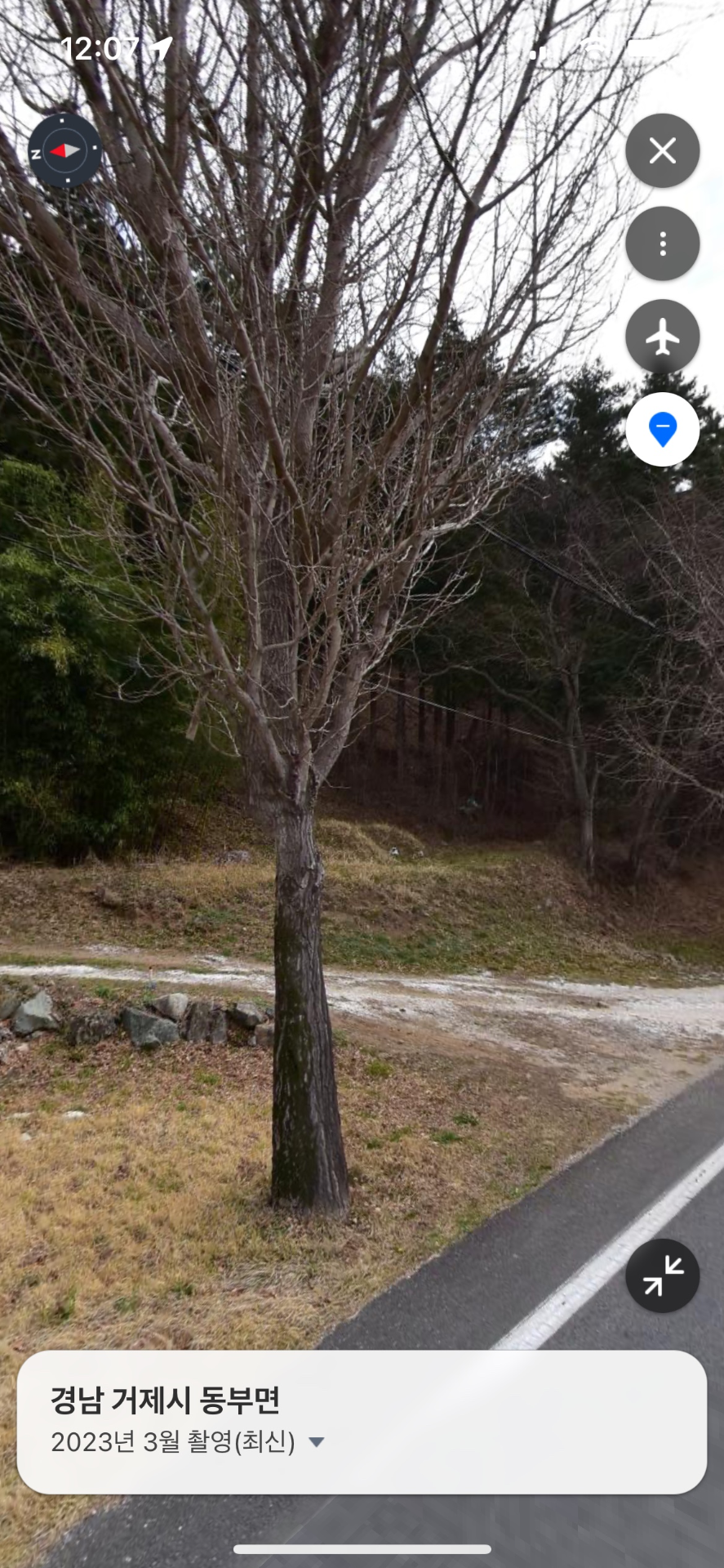 평면도