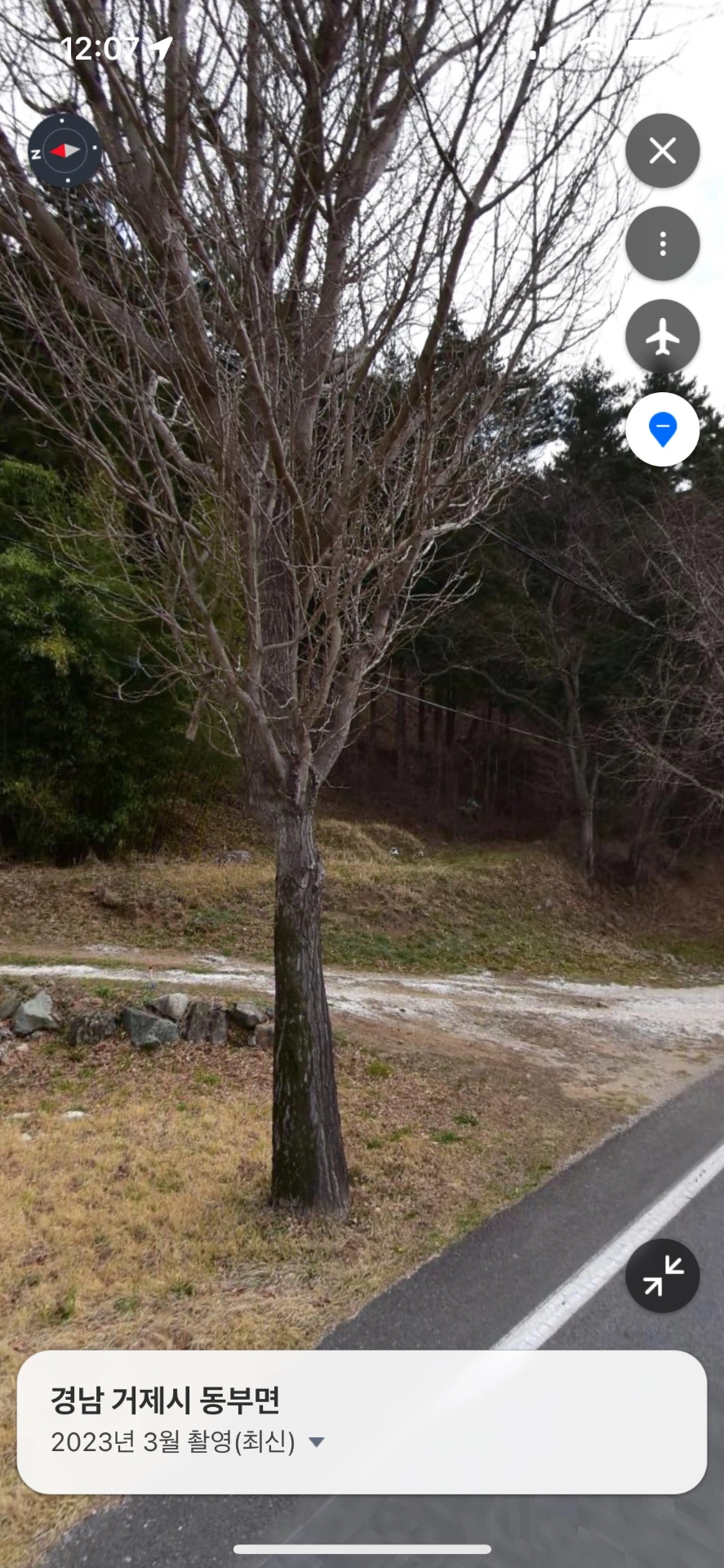 평면도