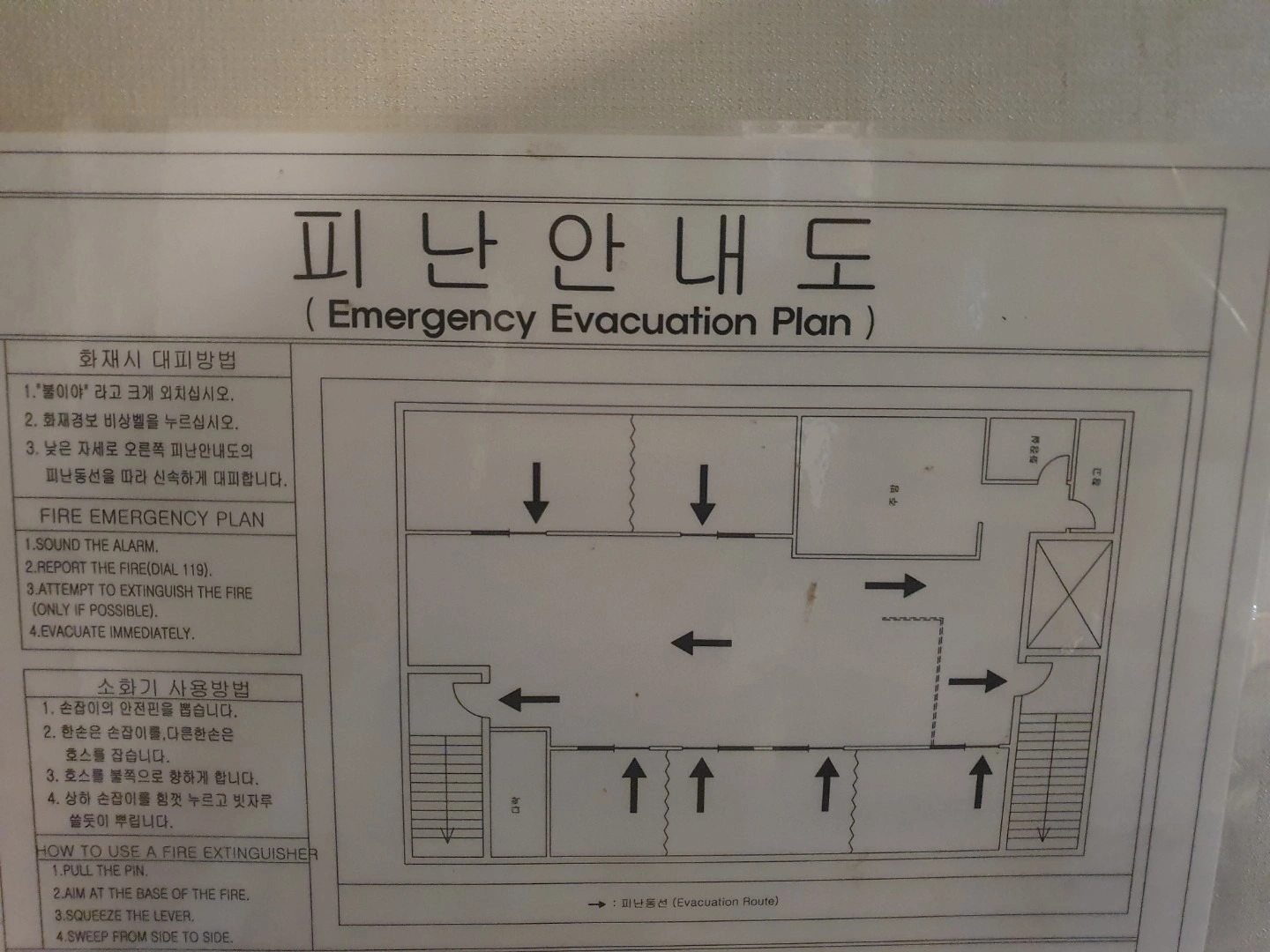평면도