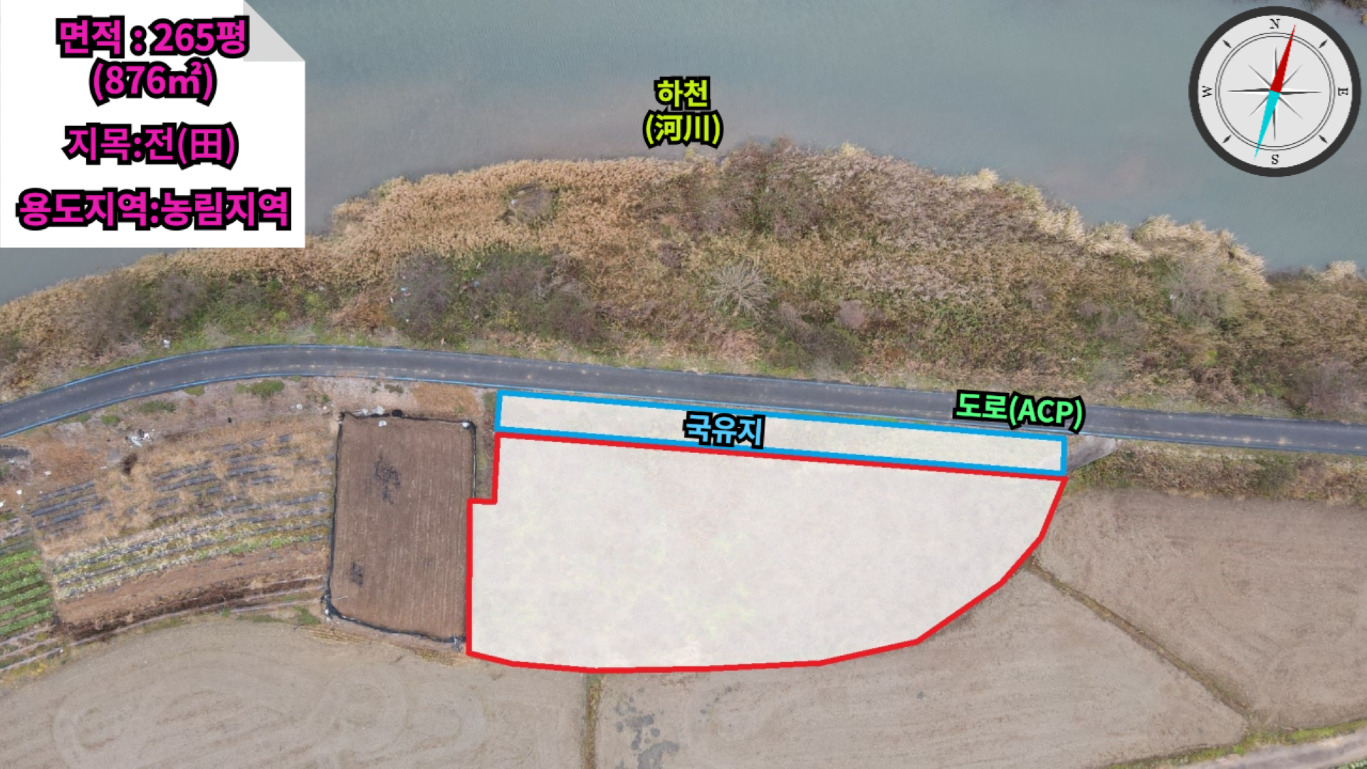 평면도