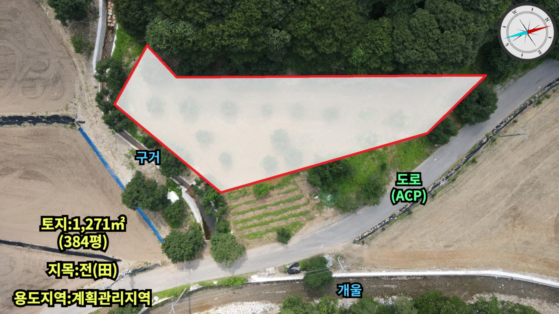평면도