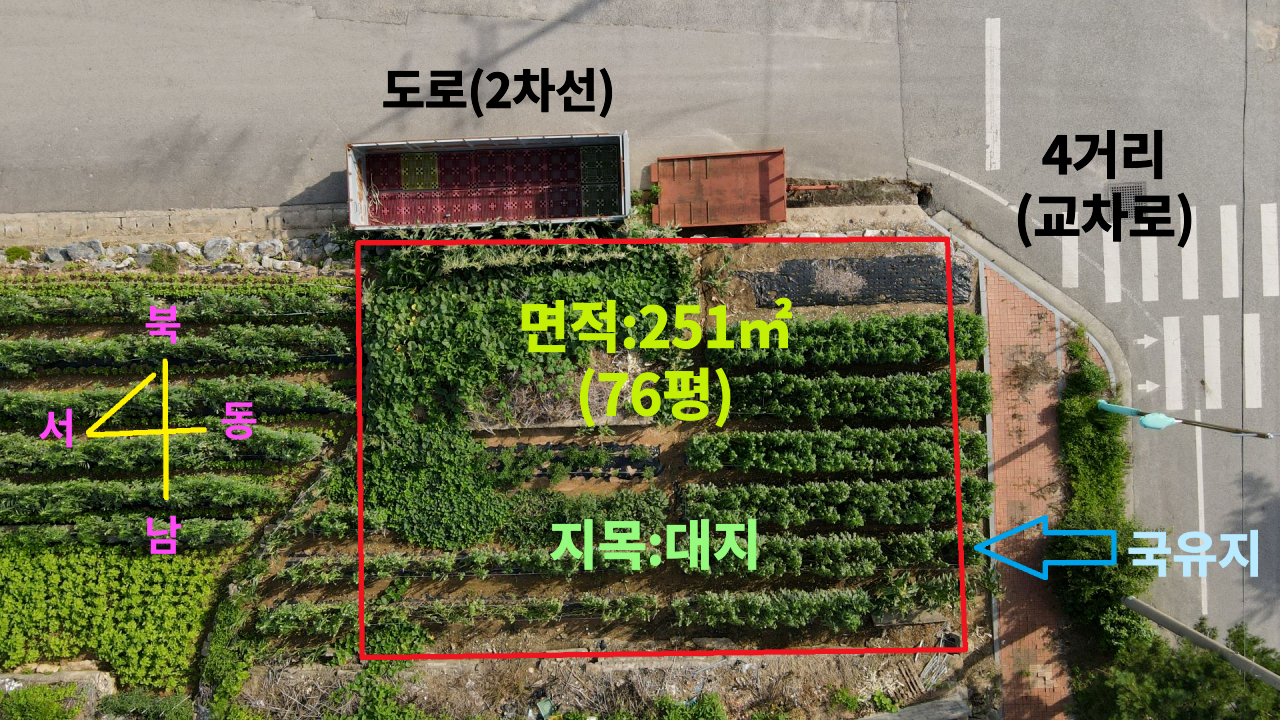 평면도