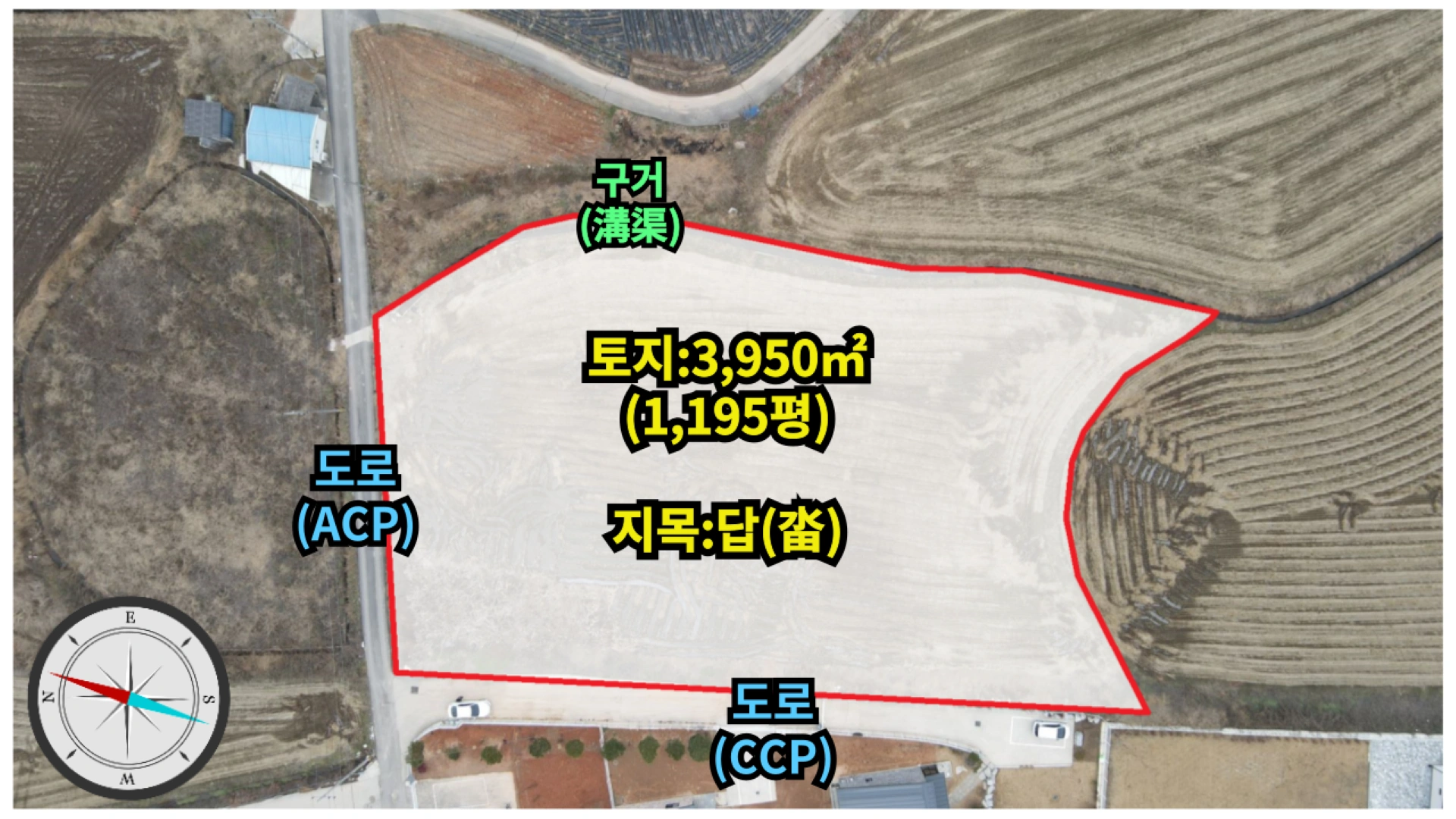 평면도
