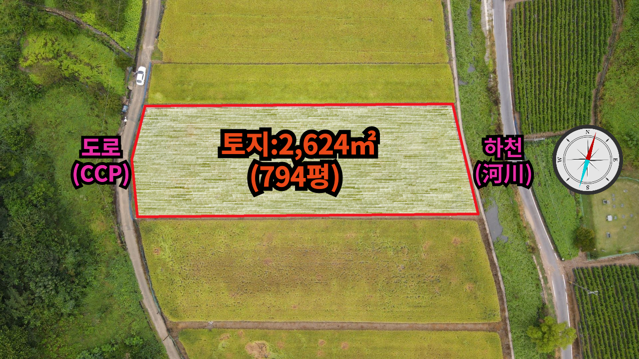 평면도