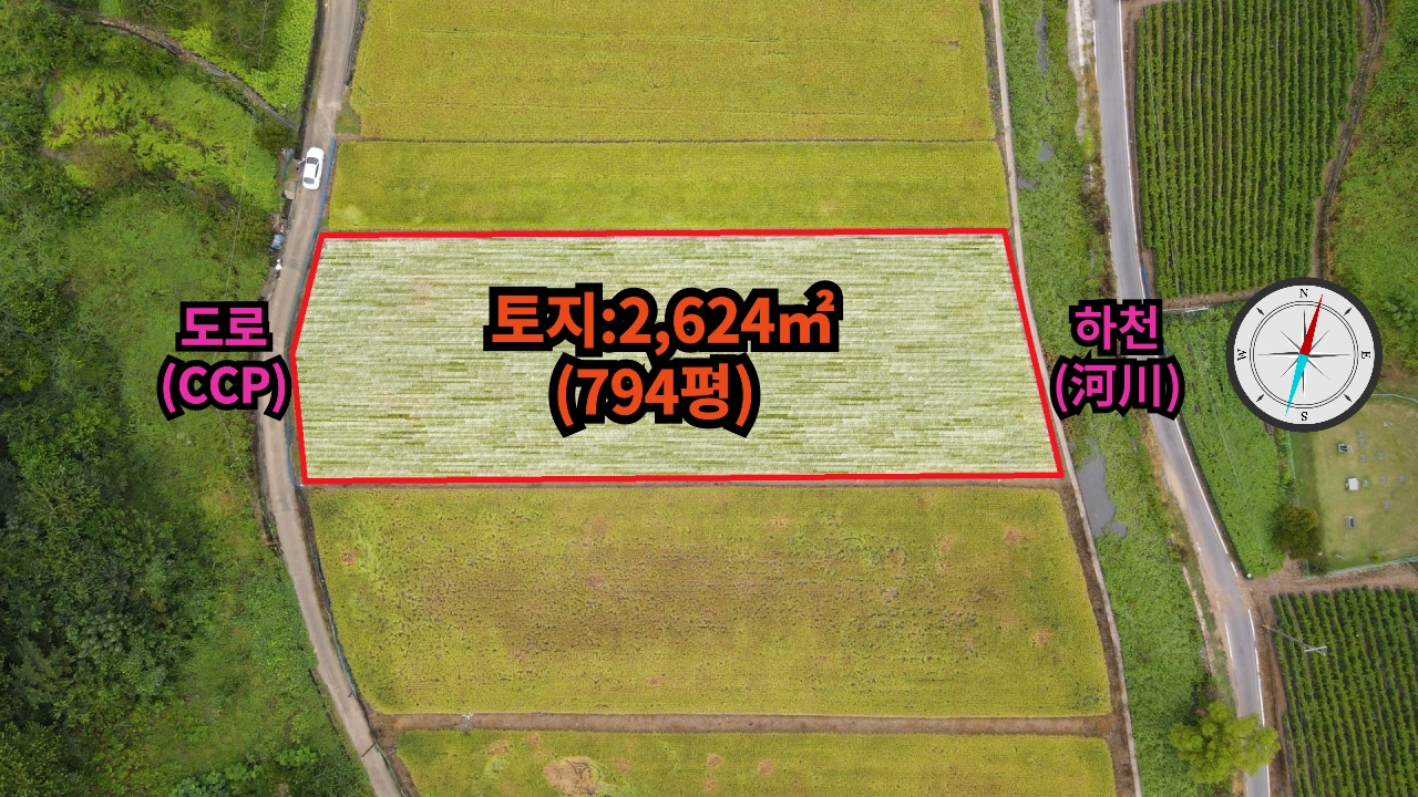 평면도