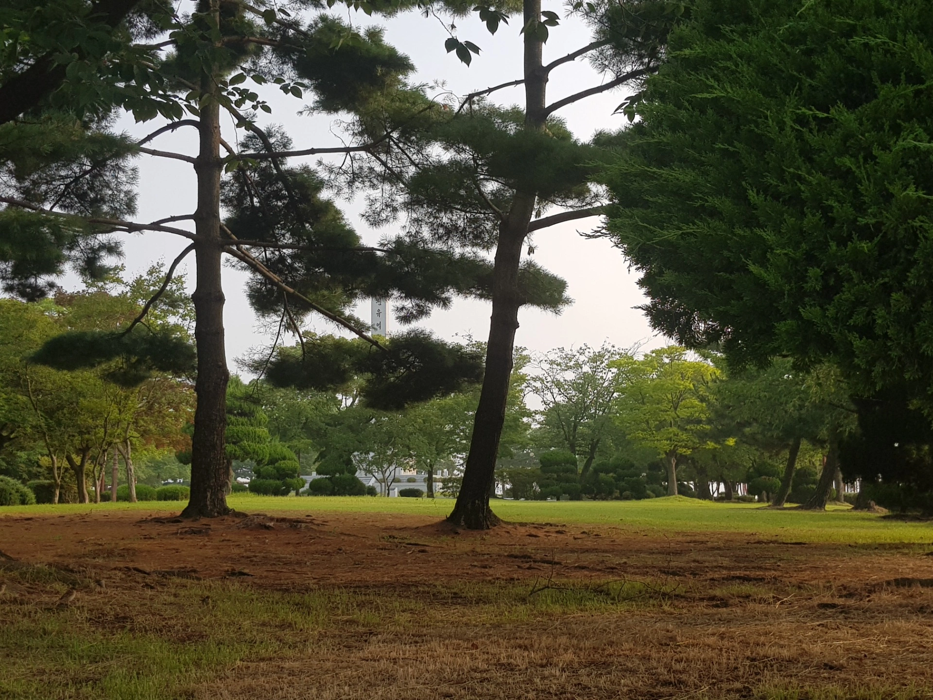 평면도