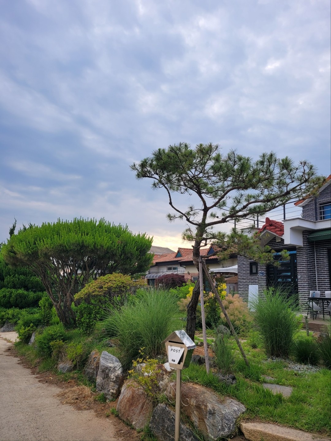 평면도