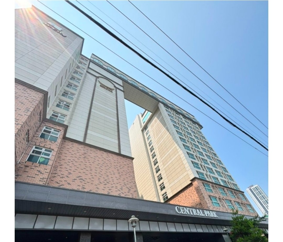 평면도