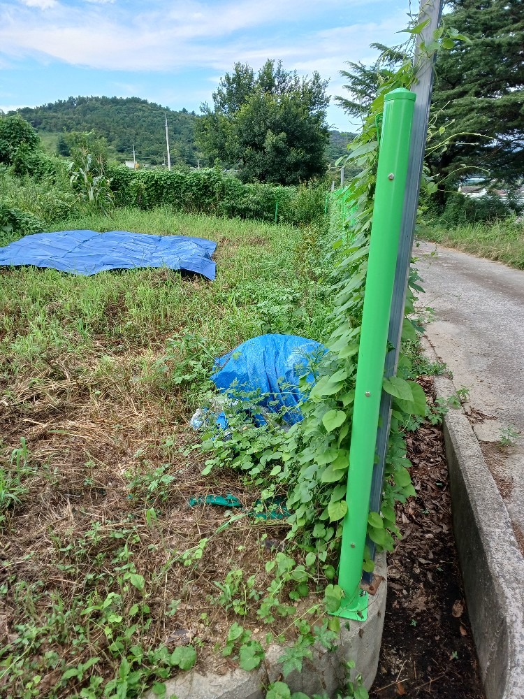 평면도