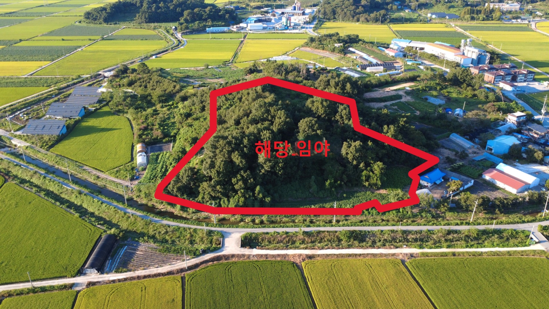 평면도