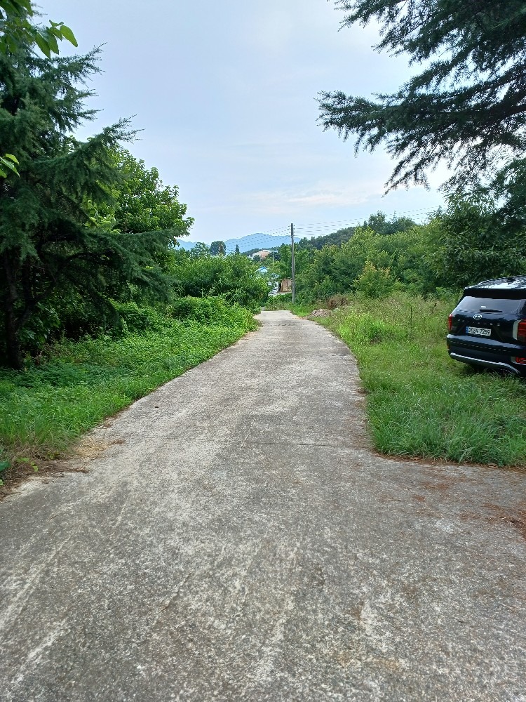 평면도