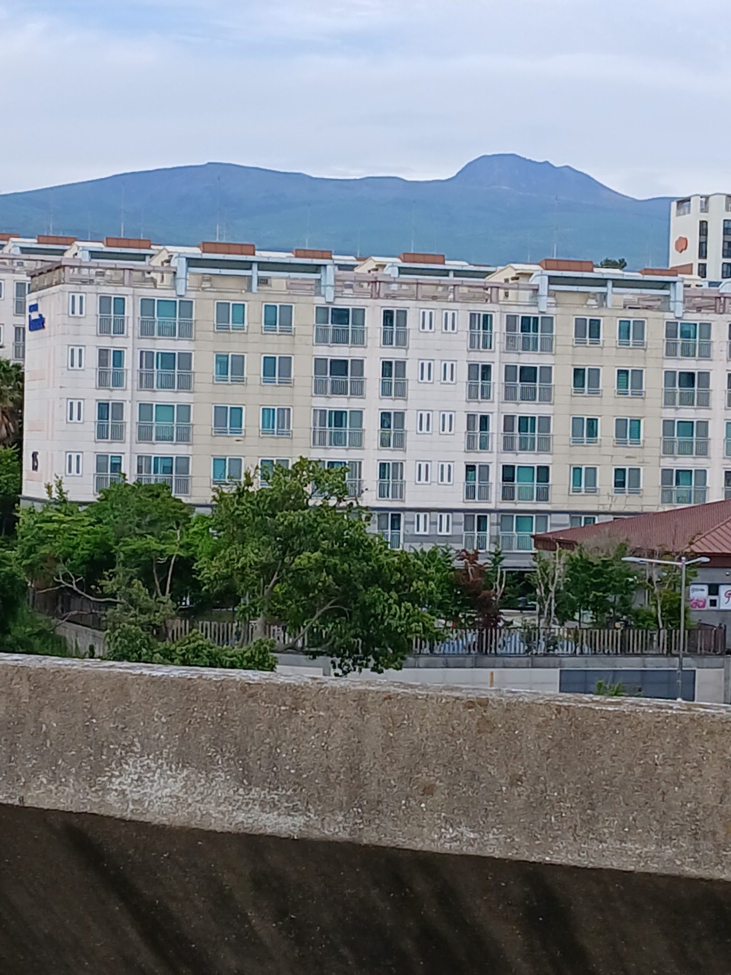 평면도