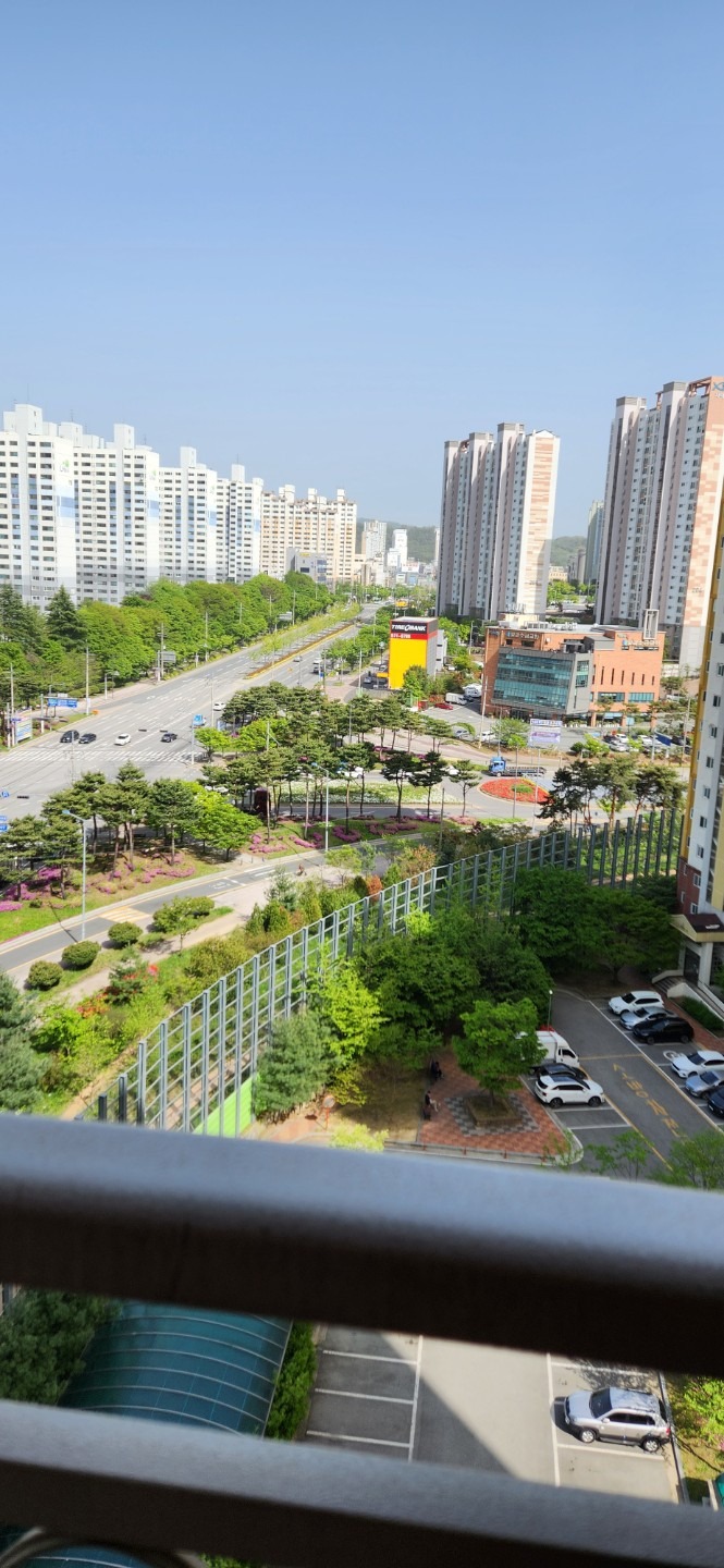 평면도