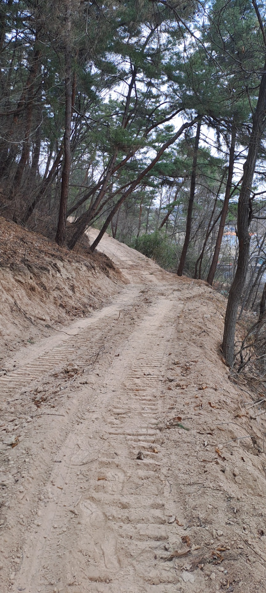 평면도