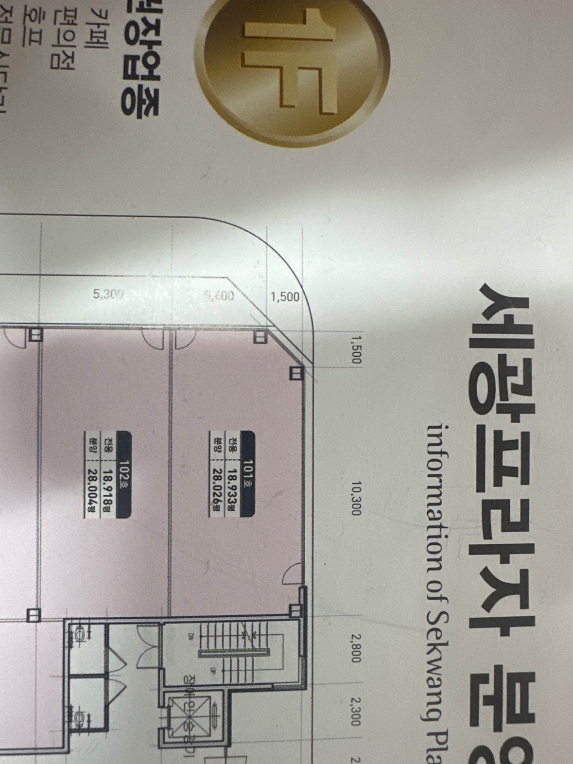 평면도