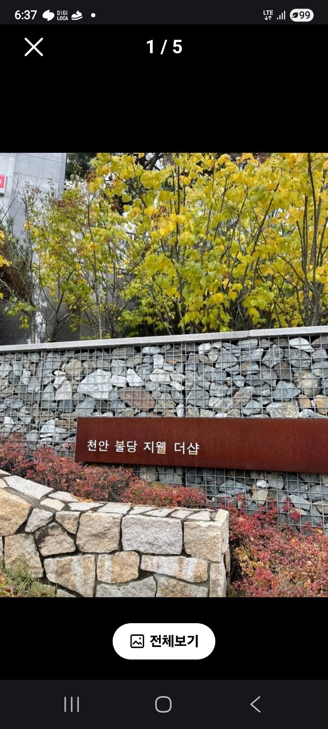 평면도