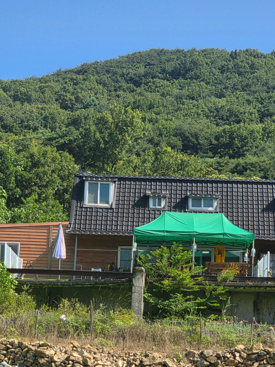 평면도