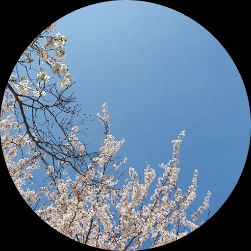 태양(429-3555)공인중개사사무소