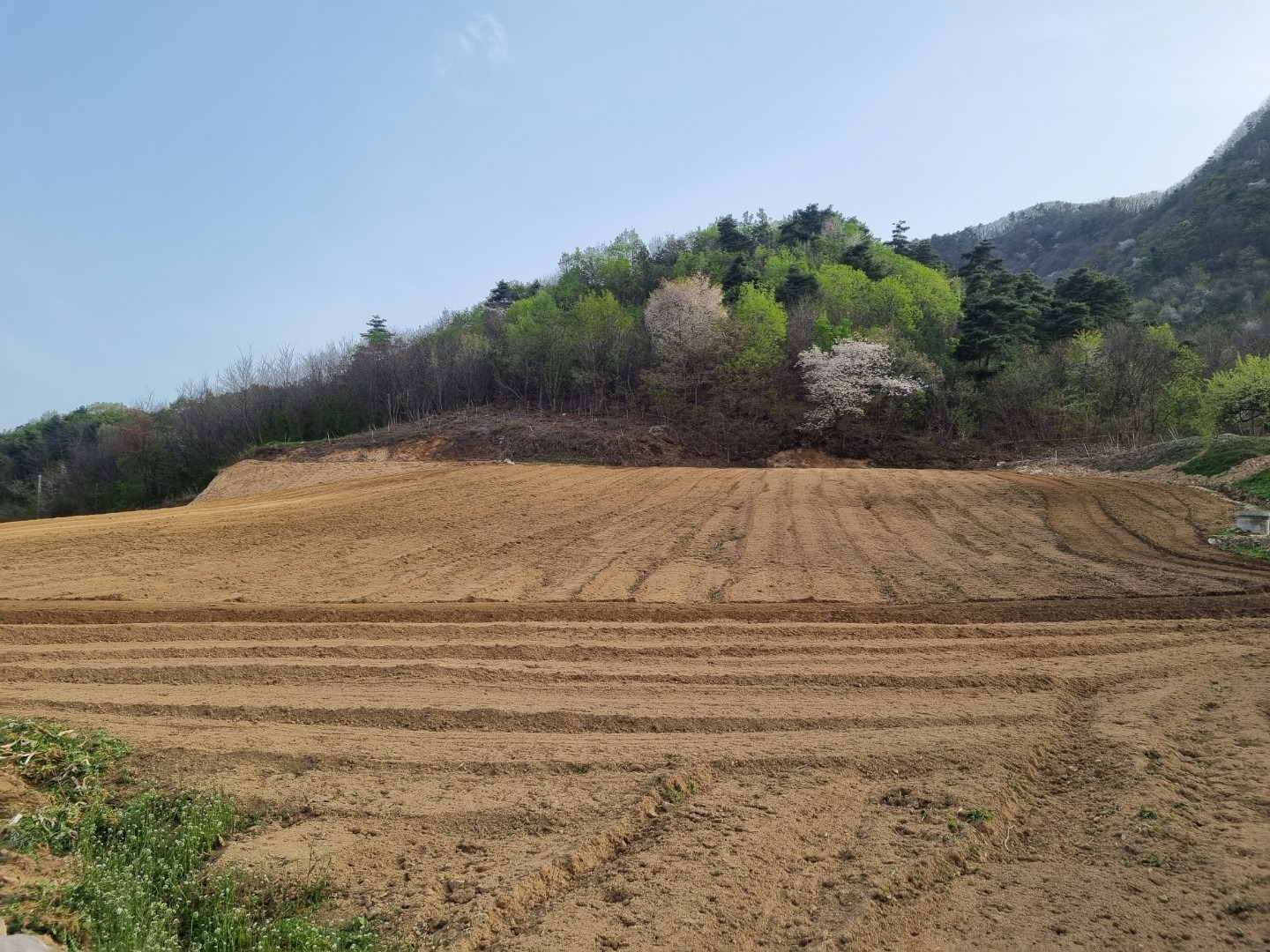 평면도