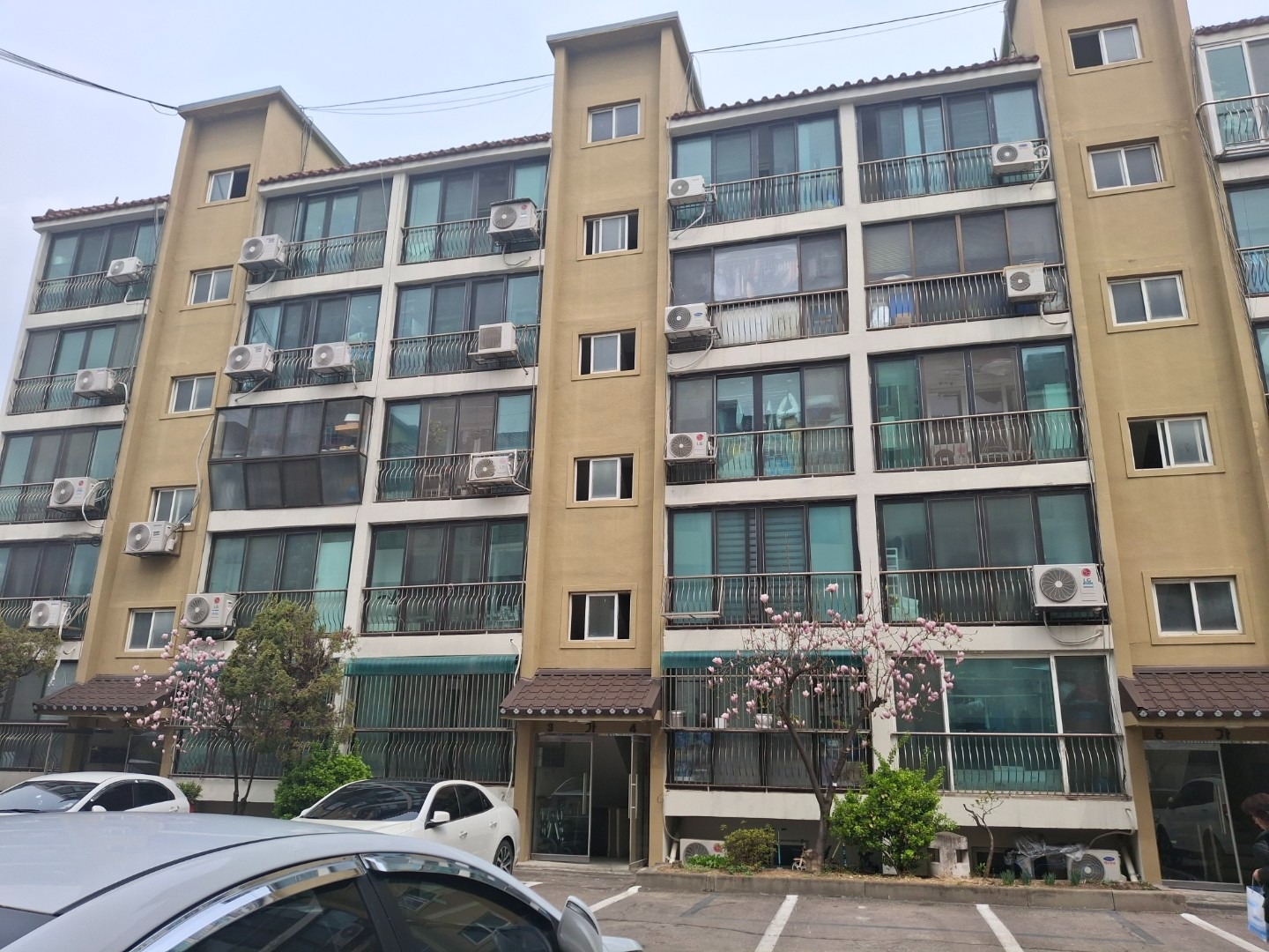평면도
