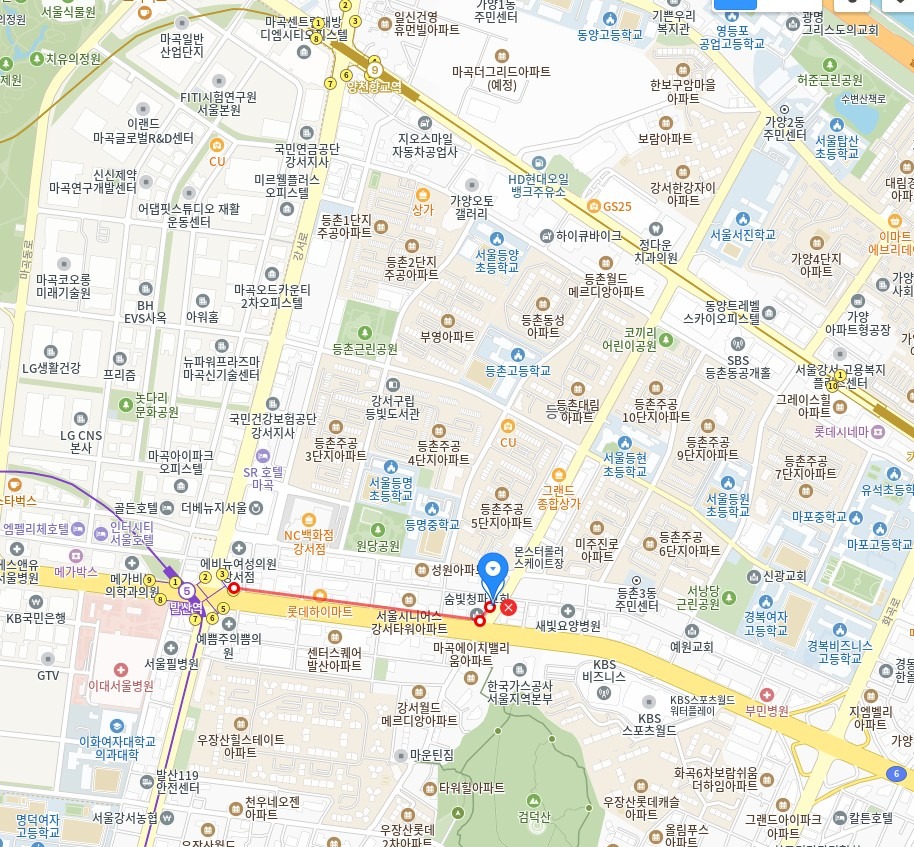 평면도