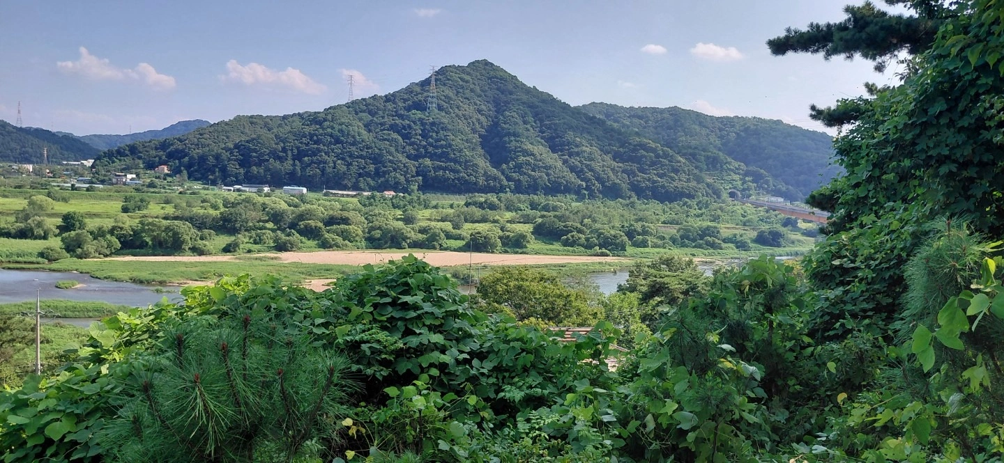 평면도
