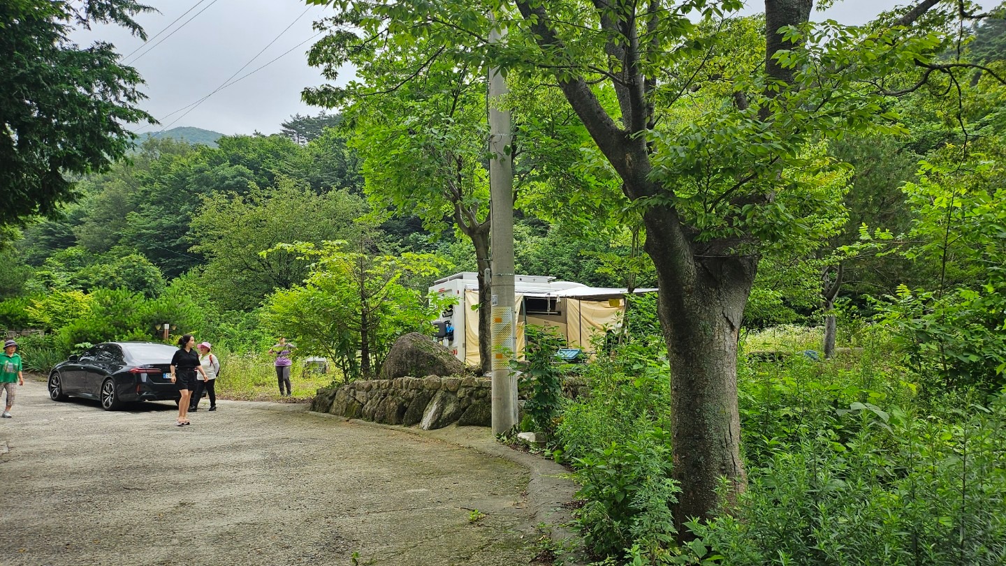 평면도
