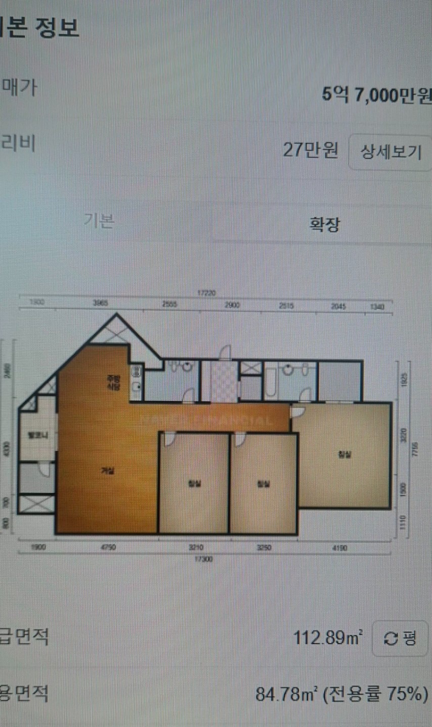 평면도