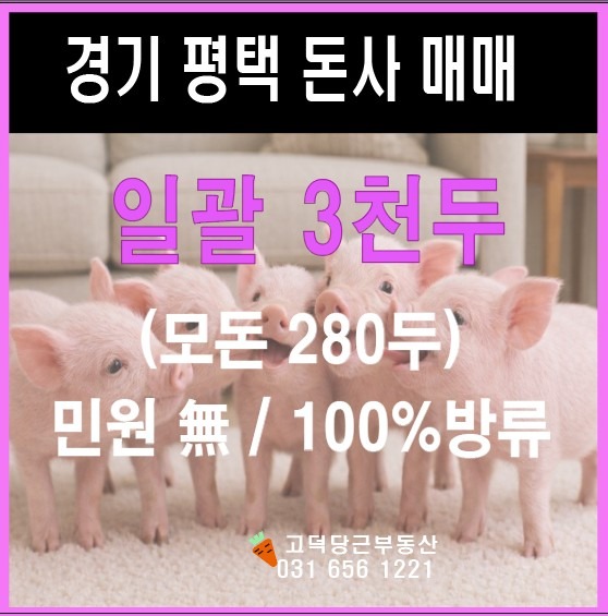 매물 썸네일