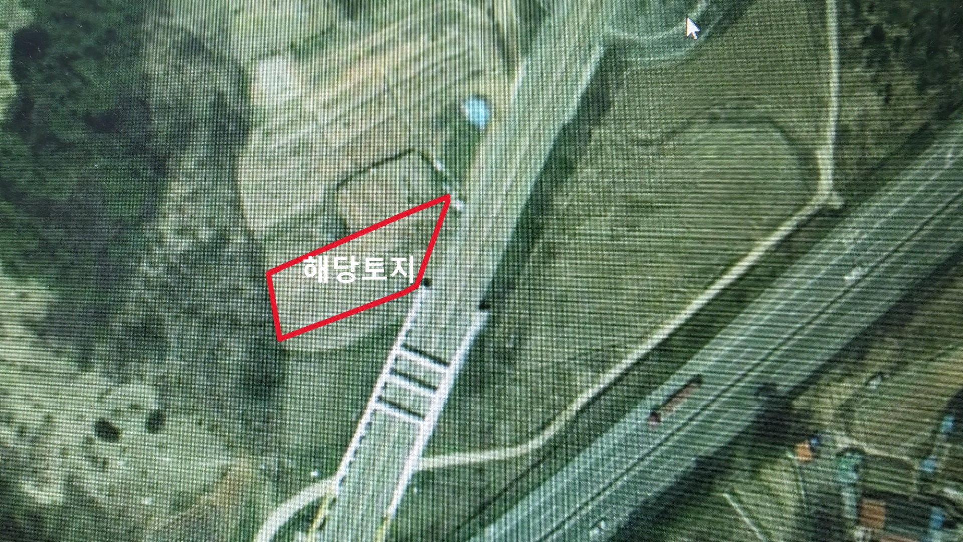 평면도