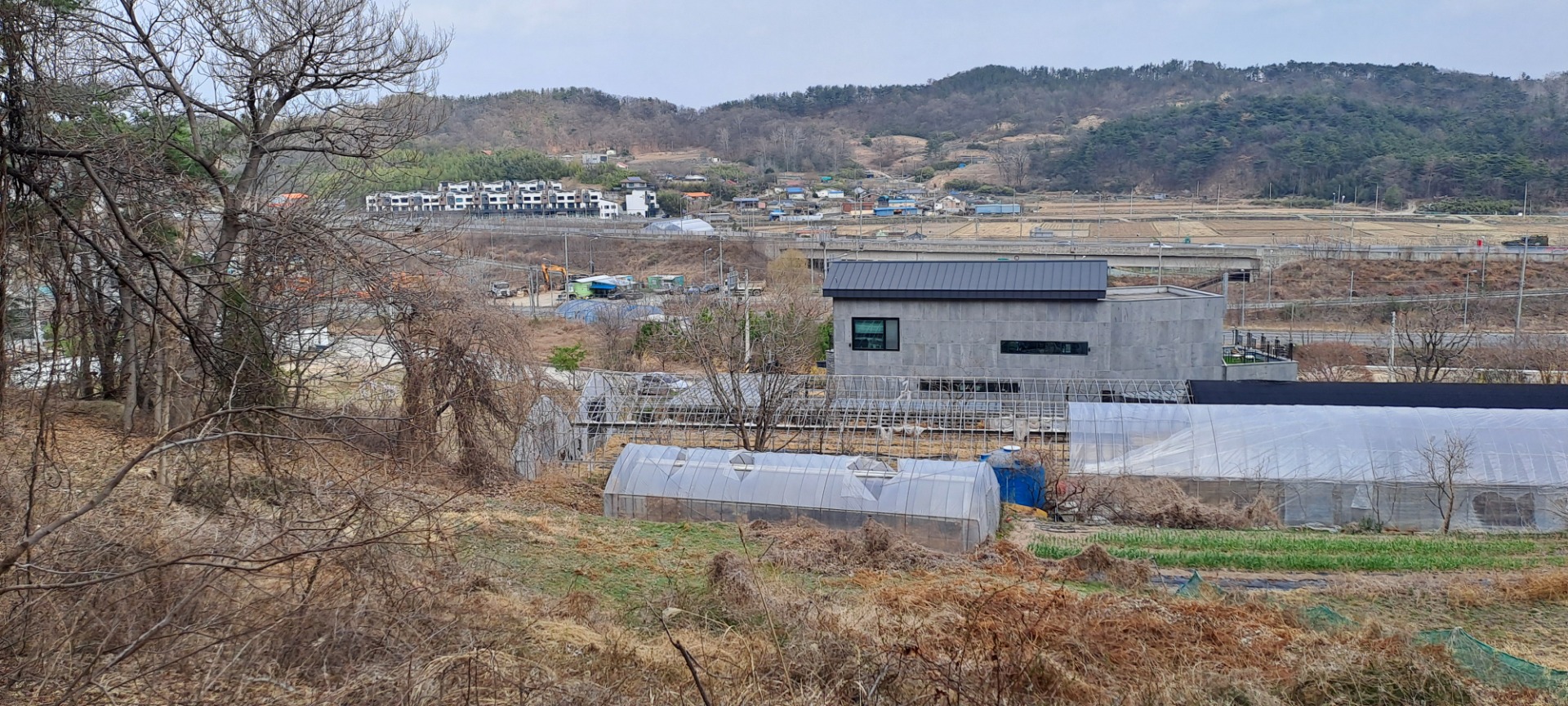 평면도